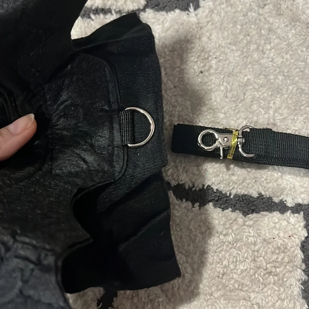 Goth dog Adjustable wire batwing harness and leash set